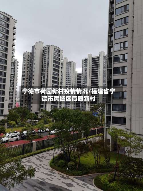 宁德市荷园新村疫情情况/福建省宁德市蕉城区荷园新村-第2张图片
