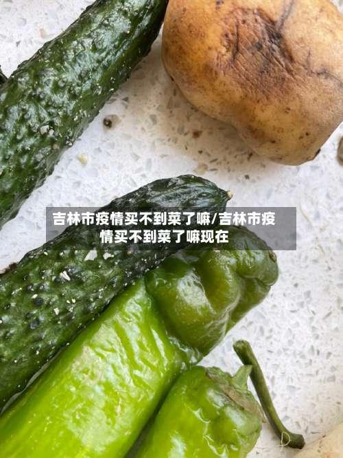 吉林市疫情买不到菜了嘛/吉林市疫情买不到菜了嘛现在