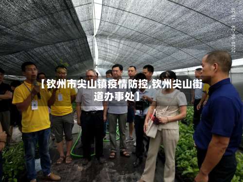 【钦州市尖山镇疫情防控,钦州尖山街道办事处】