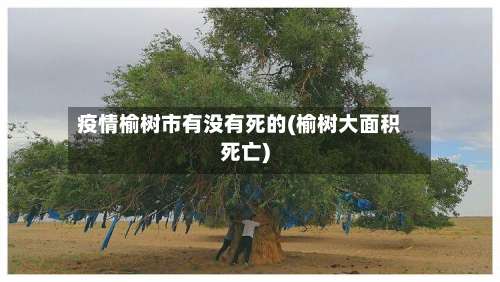 疫情榆树市有没有死的(榆树大面积死亡)