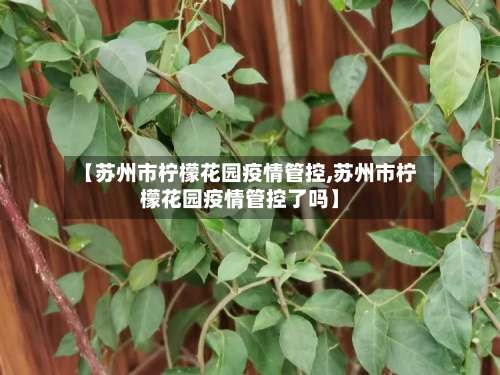 【苏州市柠檬花园疫情管控,苏州市柠檬花园疫情管控了吗】-第2张图片