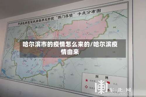 哈尔滨市的疫情怎么来的/哈尔滨疫情由来