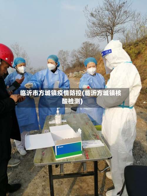 临沂市方城镇疫情防控(临沂方城镇核酸检测)