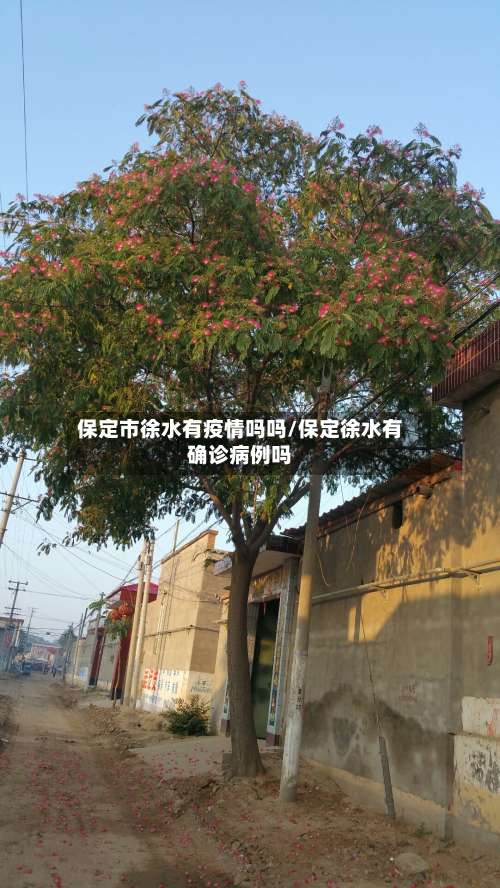 保定市徐水有疫情吗吗/保定徐水有确诊病例吗