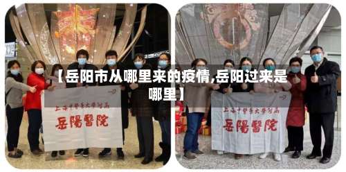 【岳阳市从哪里来的疫情,岳阳过来是哪里】