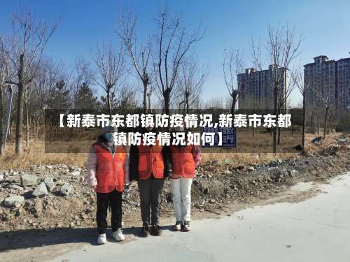 【新泰市东都镇防疫情况,新泰市东都镇防疫情况如何】