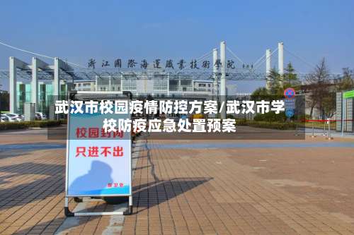 武汉市校园疫情防控方案/武汉市学校防疫应急处置预案