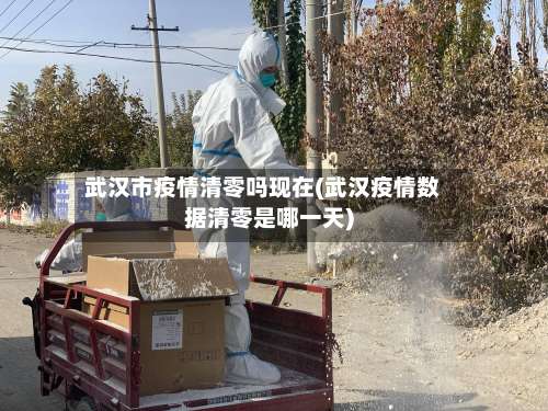 武汉市疫情清零吗现在(武汉疫情数据清零是哪一天)
