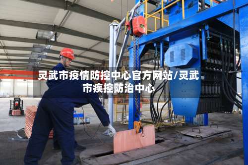 灵武市疫情防控中心官方网站/灵武市疾控防治中心-第2张图片