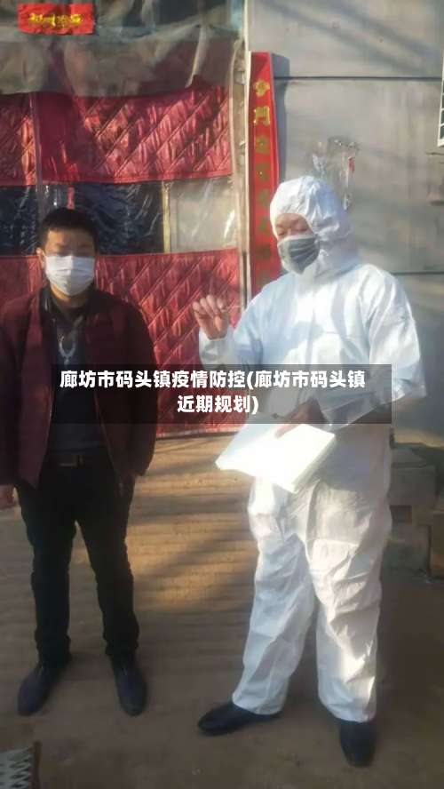 廊坊市码头镇疫情防控(廊坊市码头镇近期规划)-第3张图片