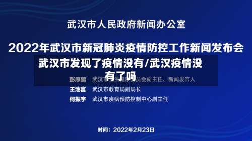 武汉市发现了疫情没有/武汉疫情没有了吗