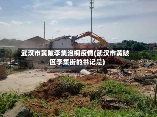 武汉市黄陂李集泡桐疫情(武汉市黄陂区李集街的书记是)