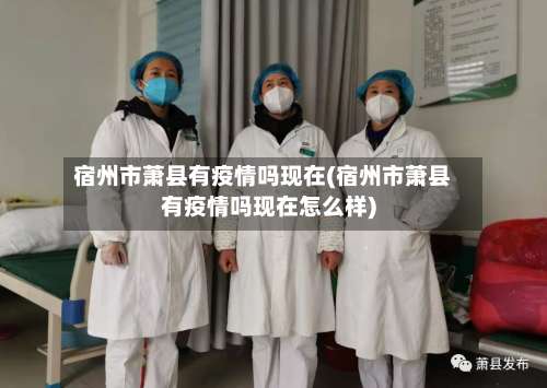 宿州市萧县有疫情吗现在(宿州市萧县有疫情吗现在怎么样)-第2张图片