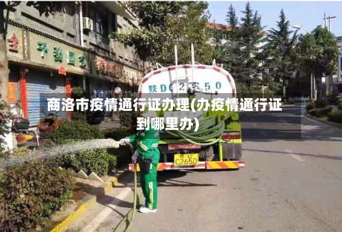 商洛市疫情通行证办理(办疫情通行证到哪里办)