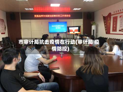 市审计局抗击疫情在行动(审计局 疫情防控)