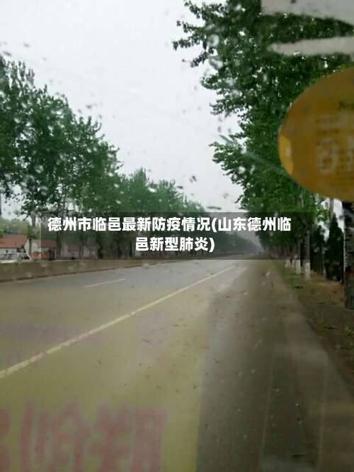 德州市临邑最新防疫情况(山东德州临邑新型肺炎)-第2张图片