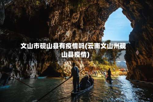 文山市砚山县有疫情吗(云南文山州砚山县疫情)