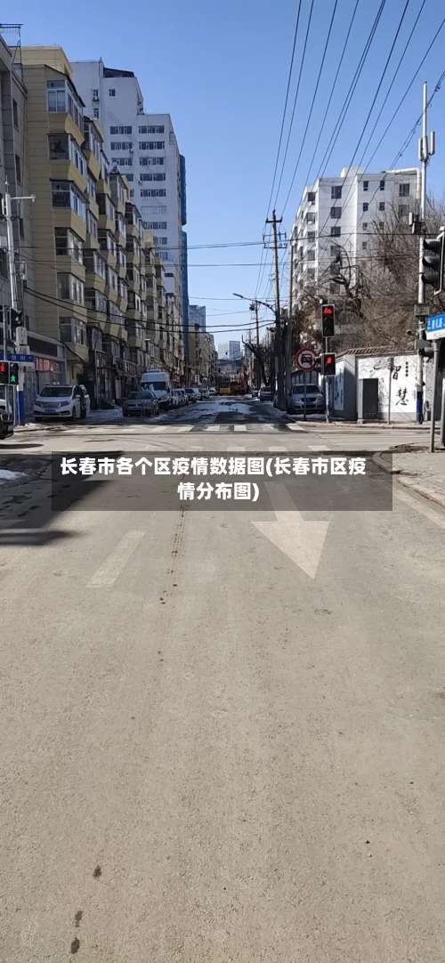 长春市各个区疫情数据图(长春市区疫情分布图)-第2张图片