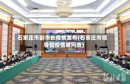 石家庄市副市长疫情发布(石家庄市领导因疫情被问责)