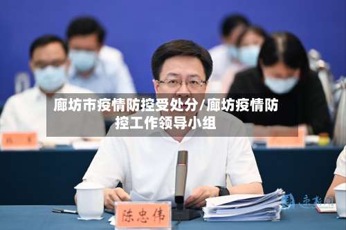 廊坊市疫情防控受处分/廊坊疫情防控工作领导小组