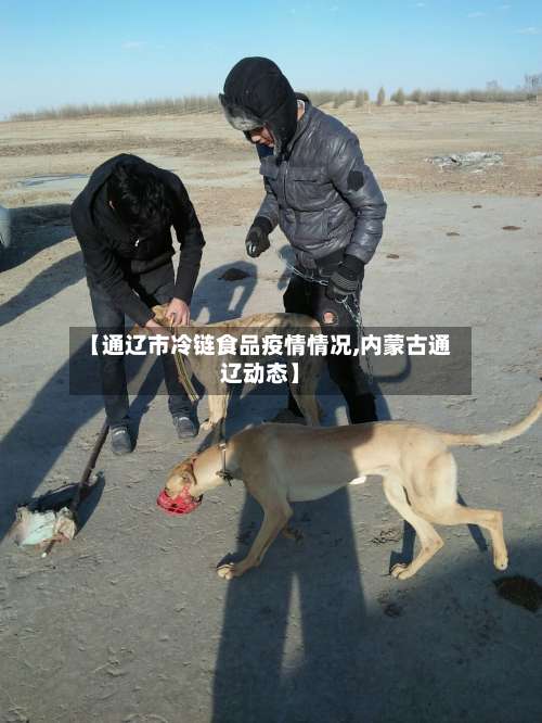 【通辽市冷链食品疫情情况,内蒙古通辽动态】-第2张图片