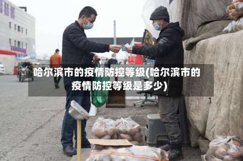 哈尔滨市的疫情防控等级(哈尔滨市的疫情防控等级是多少)