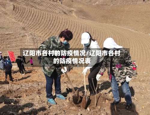 辽阳市各村的防疫情况/辽阳市各村的防疫情况表