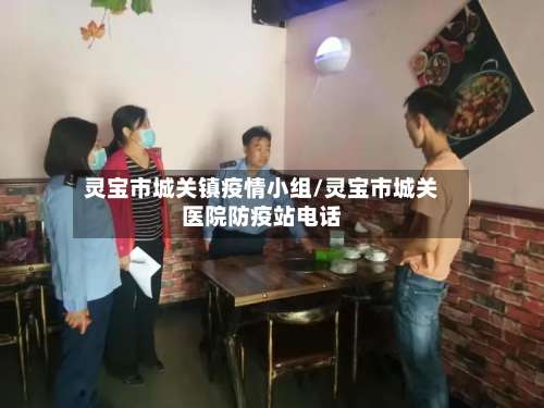 灵宝市城关镇疫情小组/灵宝市城关医院防疫站电话