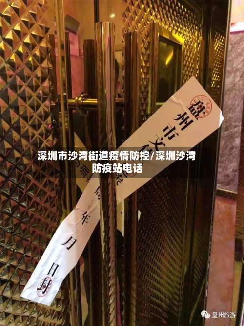 深圳市沙湾街道疫情防控/深圳沙湾防疫站电话-第2张图片