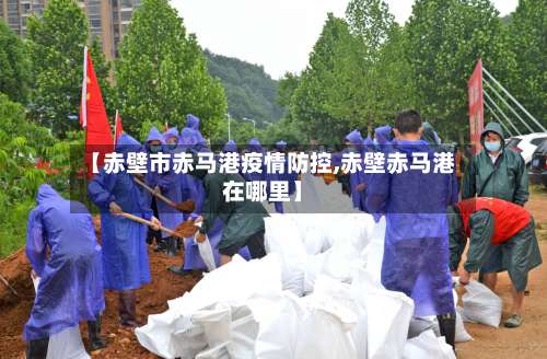 【赤壁市赤马港疫情防控,赤壁赤马港在哪里】