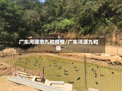 广东河源市九和疫情/广东河源九和镇