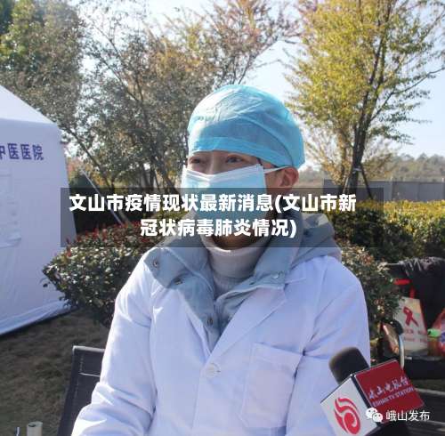 文山市疫情现状最新消息(文山市新冠状病毒肺炎情况)