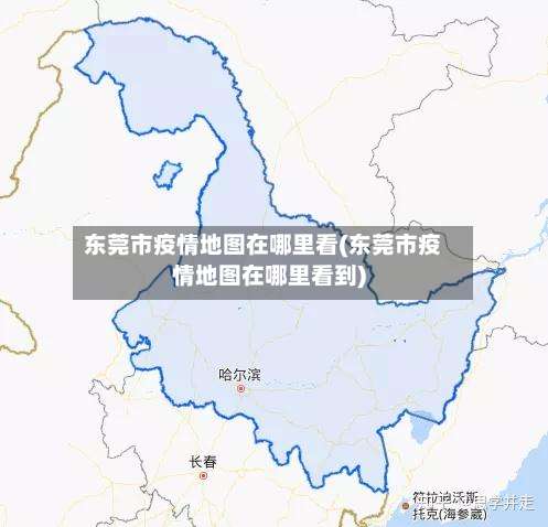 东莞市疫情地图在哪里看(东莞市疫情地图在哪里看到)