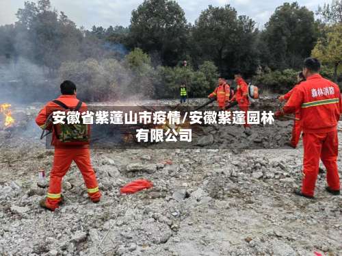 安徽省紫蓬山市疫情/安徽紫蓬园林有限公司-第3张图片