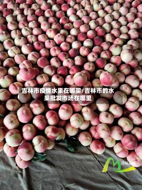 吉林市疫情水果在哪买/吉林市的水果批发市场在哪里
