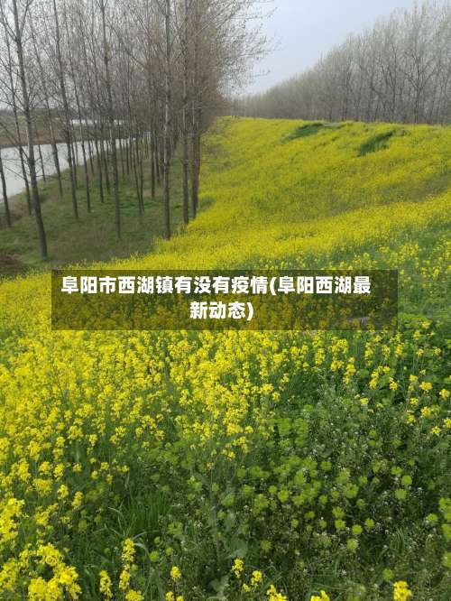 阜阳市西湖镇有没有疫情(阜阳西湖最新动态)