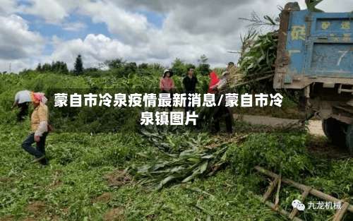 蒙自市冷泉疫情最新消息/蒙自市冷泉镇图片