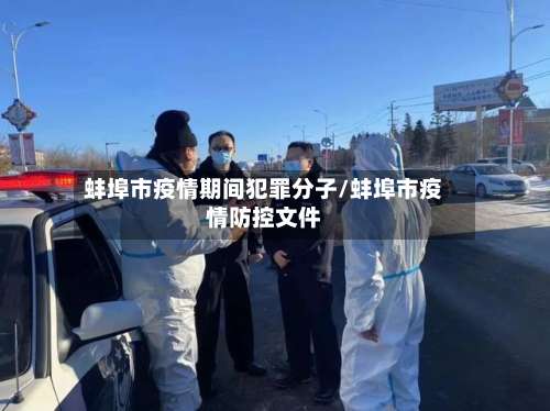 蚌埠市疫情期间犯罪分子/蚌埠市疫情防控文件