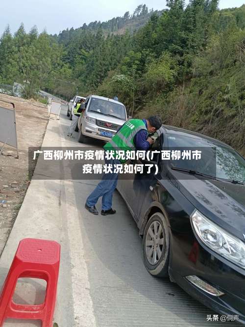 广西柳州市疫情状况如何(广西柳州市疫情状况如何了)