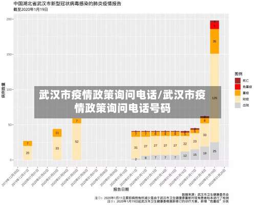 武汉市疫情政策询问电话/武汉市疫情政策询问电话号码