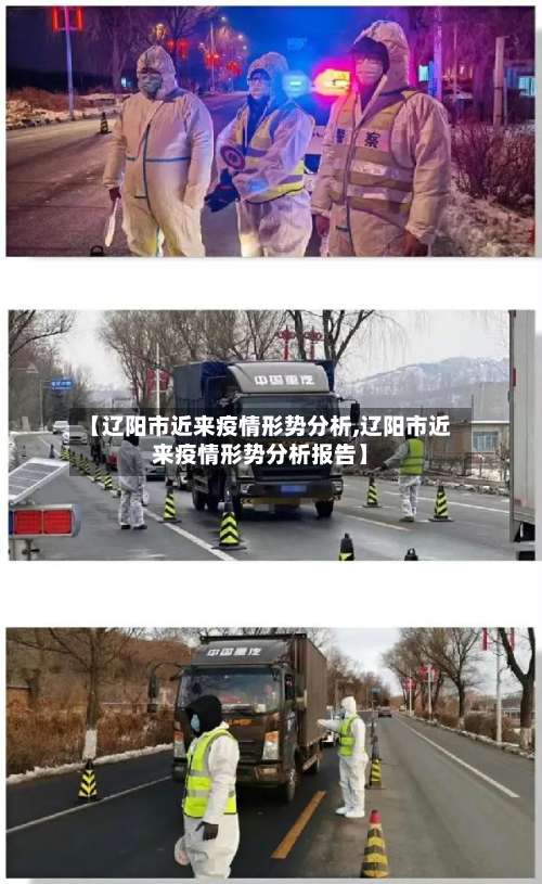 【辽阳市近来疫情形势分析,辽阳市近来疫情形势分析报告】