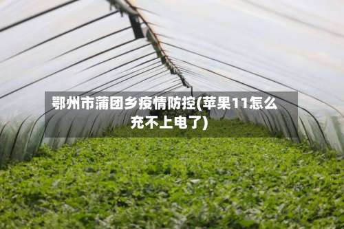 鄂州市蒲团乡疫情防控(苹果11怎么充不上电了)