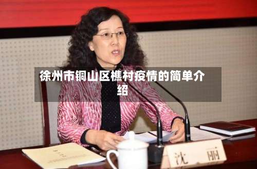 徐州市铜山区樵村疫情的简单介绍