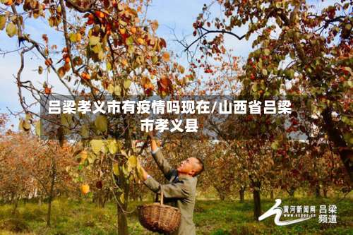 吕梁孝义市有疫情吗现在/山西省吕梁市孝义县-第3张图片
