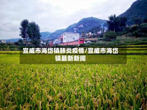 宣威市海岱镇肺炎疫情/宣威市海岱镇最新新闻