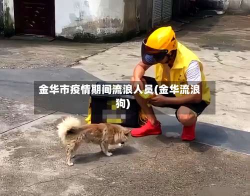 金华市疫情期间流浪人员(金华流浪狗)