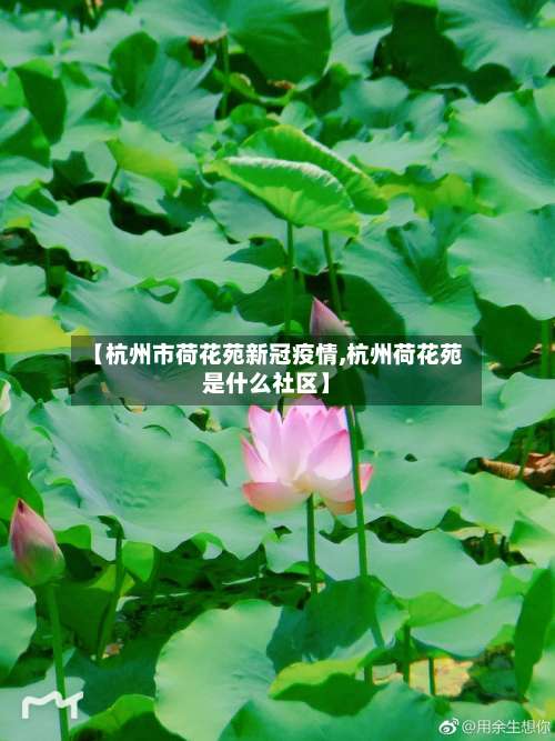 【杭州市荷花苑新冠疫情,杭州荷花苑是什么社区】-第2张图片