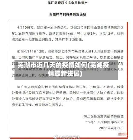 芜湖市近几天的疫情如何(芜湖疫情最新进展)-第3张图片