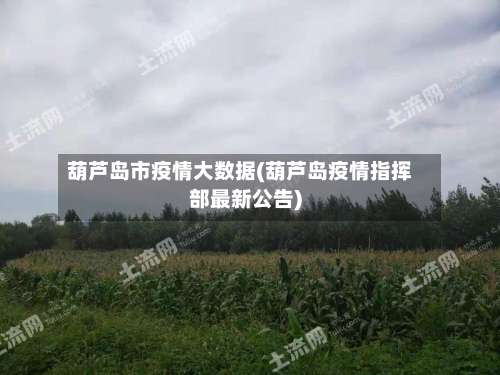 葫芦岛市疫情大数据(葫芦岛疫情指挥部最新公告)-第2张图片