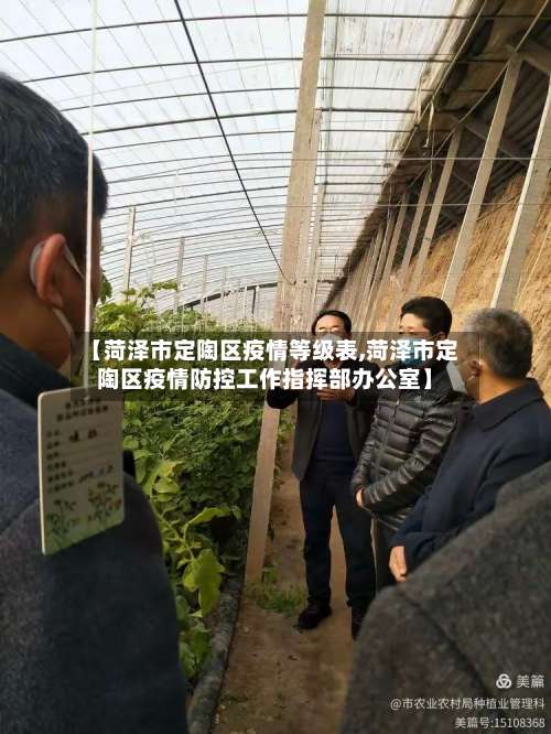【菏泽市定陶区疫情等级表,菏泽市定陶区疫情防控工作指挥部办公室】